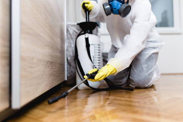 Best Commercial Pest Control Services  in Lynwood, IL