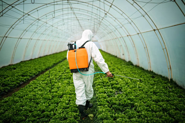 Best Commercial Pest Control Services  in Lynwood, IL