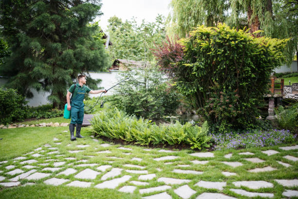 Best Emergency Pest Control  in Lynwood, IL