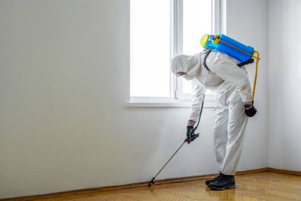 Best Cockroach Control Services  in Lynwood, IL