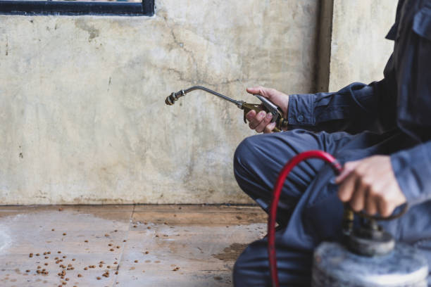 Best Pest Prevention Services  in Lynwood, IL